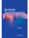 117-RP-Aesthetic Septorhinoplasty (2016)-1.jpg