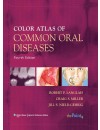 final . jeld - 02 - RP - Color_Atlas_of_Common_Oral_Diseases - 3 adad copy.jpg