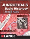 Junqueira's Basic Histology.JPG